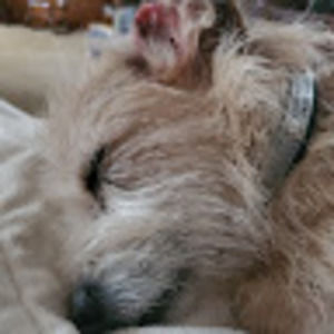 Meet your Posher, Sherry